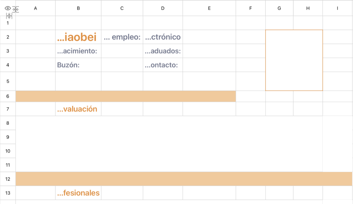 Currículum del Comisionado de Operaciones